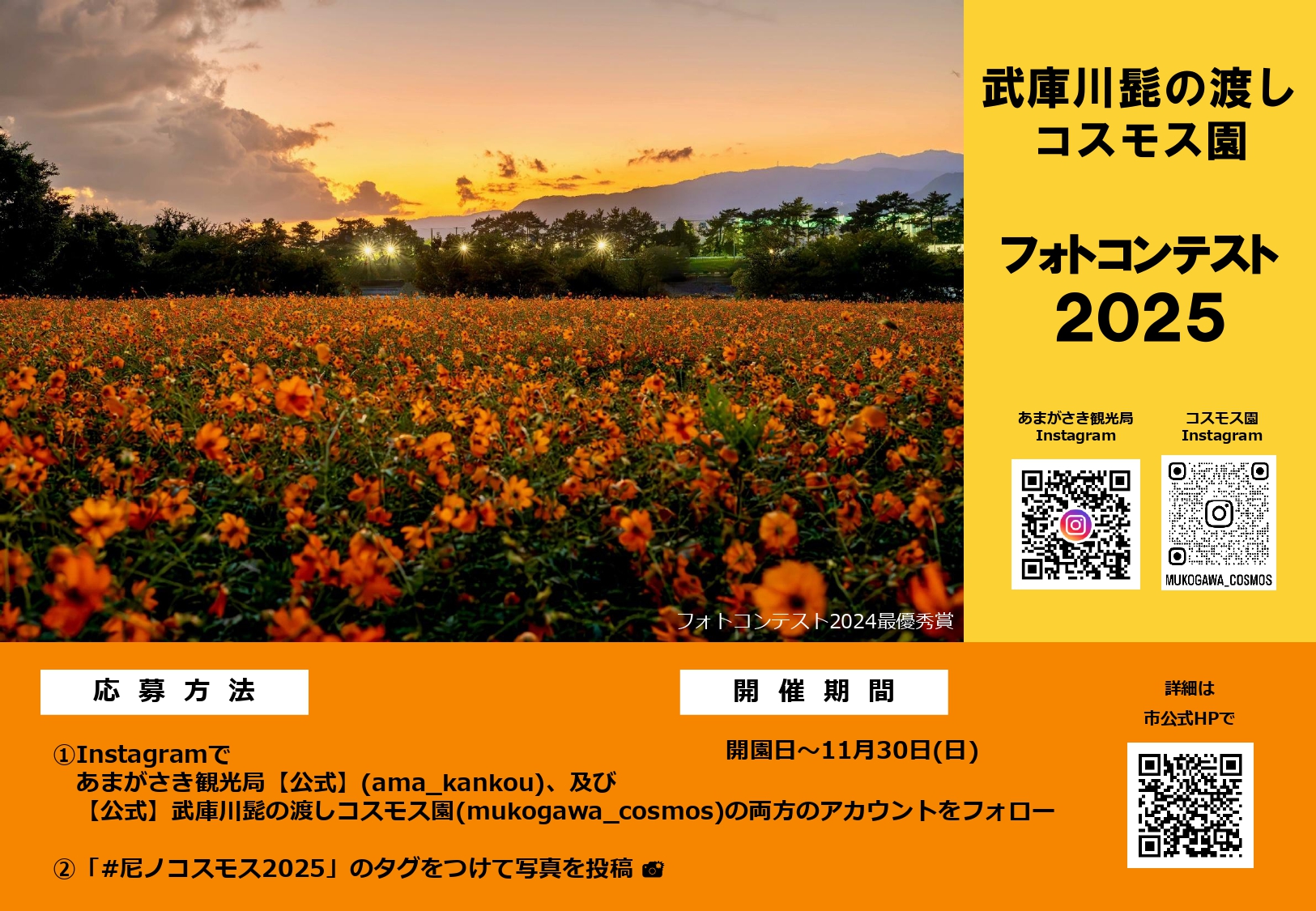 終了しました】フォトコンテスト2025～武庫川髭の渡しコスモス園